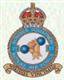 21 Squadron RAF