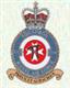 22 Squadron RAF