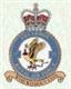 37 Squadron RAF