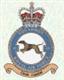 49 Squadron RAF