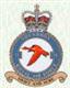 51 Squadron RAF