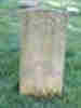 Alfreds headstone