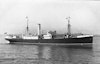 SS Cortes
