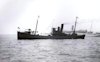 HMT Fotuna